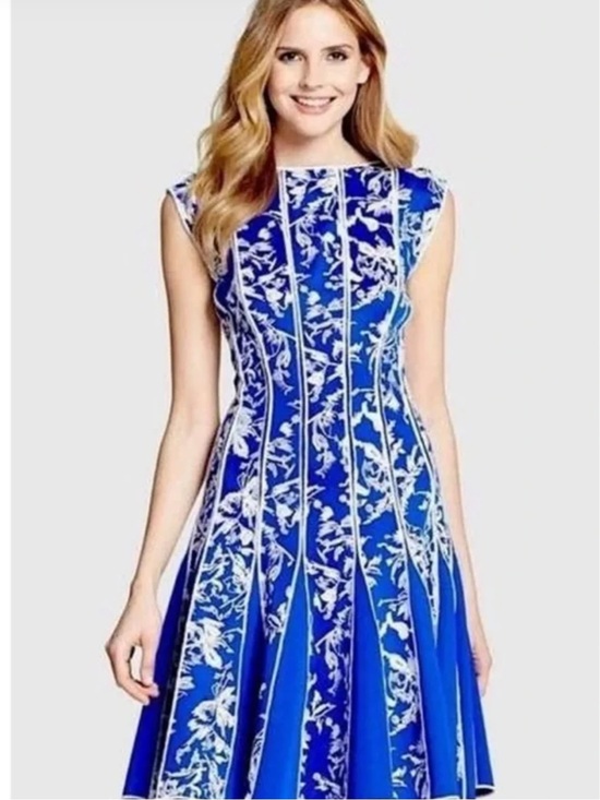 Tadashi Shoji Dresses & Skirts - NWT Tadashi Shoji Blue Floral Embroidered Dress Size S
